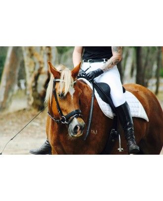 White Show Jodhpurs with Silicone Seat - Jodhpurs and Breeches