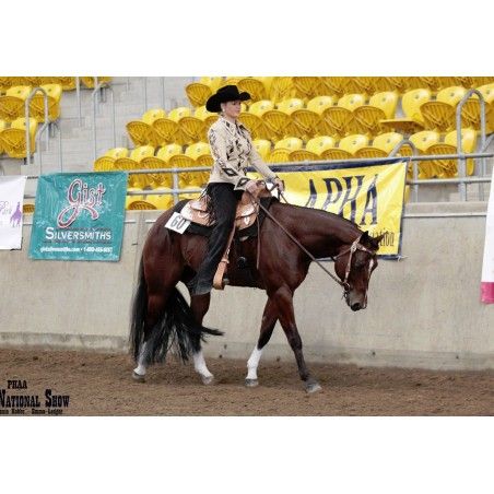 western Jeweled Show Saddle - Western Show