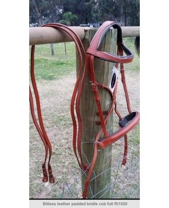 Bitless Bridle padded ri1550 - Bridles and Accessories