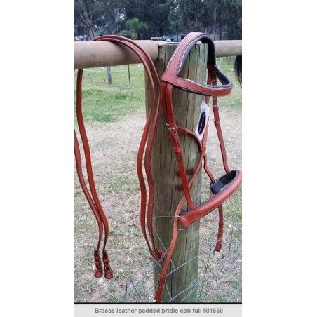 Bitless Bridle padded ri1550 - Bridles and Accessories
