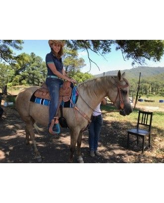 western saddle barrel and pleasure saddle 15 and 16 inch london ri226 blue seat - Western Saddles