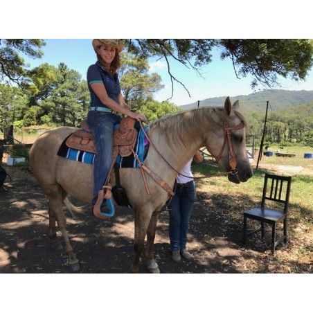 western saddle barrel and pleasure saddle 15 and 16 inch london ri226 blue seat - Western Saddles