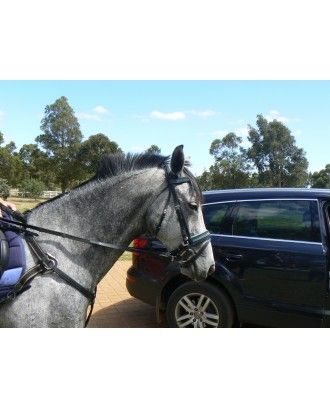 Five point Breastplate with elastic side , show quality available in black or havana brown - English bridles and breastplates