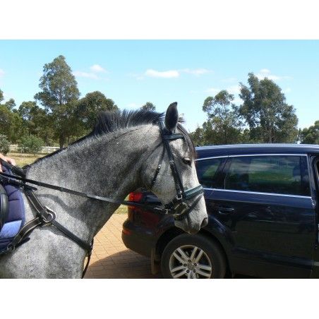 Five point Breastplate with elastic side , show quality available in black or havana brown - English bridles and breastplates