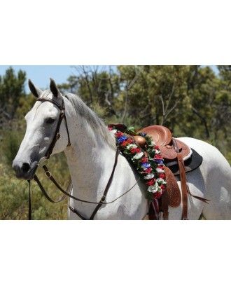 Barcoo bridle with breastplate set ri16a barcoo with platted brow band in gold lace - Stockman bridles and breastplate