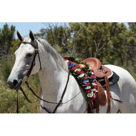 Barcoo bridle with breastplate set ri16a barcoo with platted brow band in gold lace - Stockman bridles and breastplate