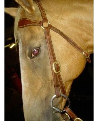 Barcoo bridle, y breastplate padded 425A - Stockman bridles and breastplate