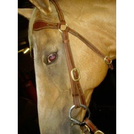 Barcoo bridle, y breastplate padded 425A - Stockman bridles and breastplate