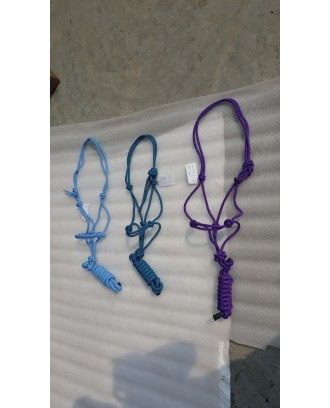 Rope Halter and lead multi colour - rope halter and cotton reins