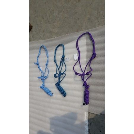 Rope Halter and lead multi colour - rope halter and cotton reins