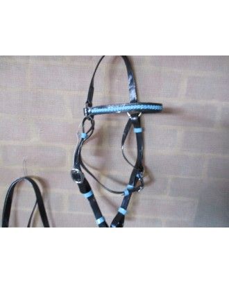 Biothene barcoo bridle blue laced browband , reins included - Stockman bridles and breastplate