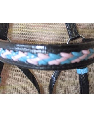 barcoo bridle blue and pink laced browband , reins included Synthetic PVC Biothene - Stockman bridles and breastplate